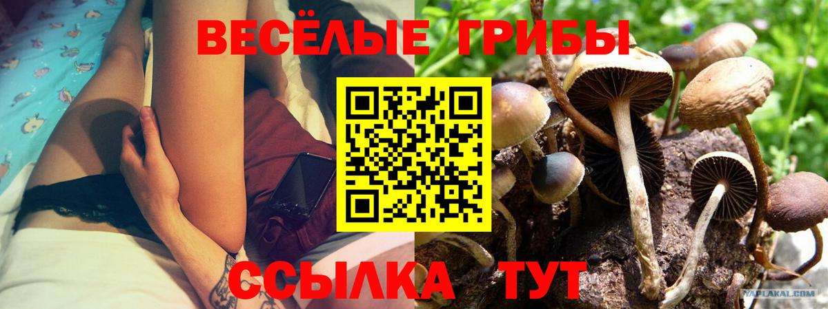 Псилоцибиновые грибы Magic Shrooms Нефтекумск